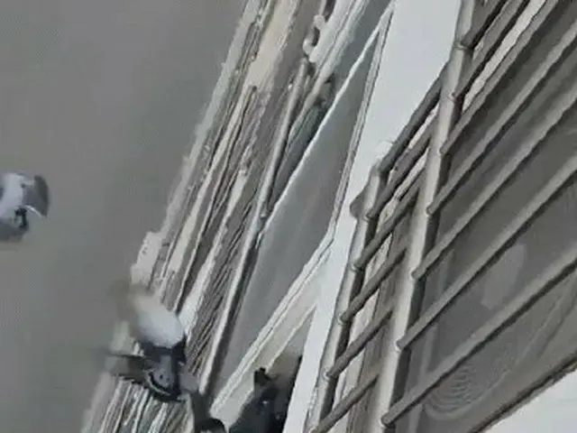 韓国でマンションの下の階の住人が室外機にハトのえさを置いているため大量のハトが集まって迷惑な様子が話題に