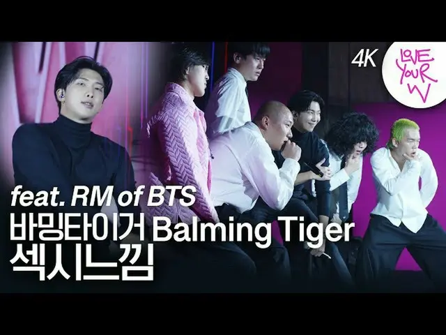 【公式wk】  [Love Your W 4K 高画質ステージ] バミングタイガー(Balming Tiger) 'セクシー感' with RM by W Ko