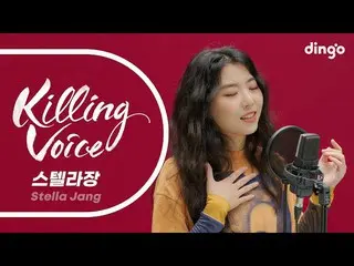 【公式din】 STELLAR_ 章(Stella Jang)のキリングボイスをライブで！ |ディンゴミュージックDingo Music  