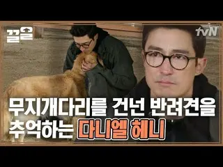 【公式tvn】 私たちのマンゴーみたいだ…静かに隅にいたレトリーバーが気になったダニエル・ヘニー_ 🐕|アップグレード人間  
