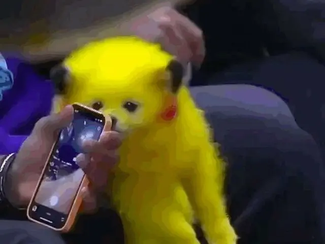 米NBAの観戦席に映し出された犬が話題