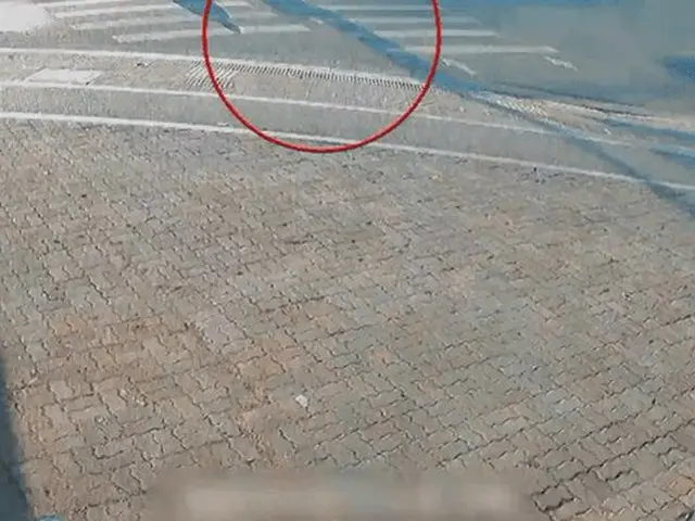 韓国の16歳男性が無免許で自動車を運転して横断歩道を歩いていた大学生を引いてしまう事故が話題に