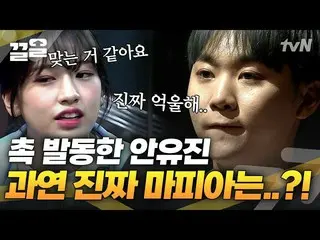 【公式tvn】 やっぱり頭が赤ちゃん虎アン・ユジン(IVE)_ 🐯🧡マフィア天才ユジンの鋭い触手ホグのガンパンライフ  