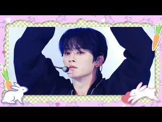 【公式mnk】【2023うさぎの年特集】 Stray Kids_ _  (ストレイキッズ) - CASE 143 #M COUNTDOWN_  EP.781  