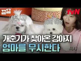 【公式tvn】 お母さんが世界で一番良い同動だったのに😥突然変わったイ・スギョン_ |会話が必要なもの  