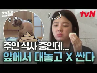 【公式tvn】 プリンああ..ご飯を食べる 💩は少し;恥ずかしいオム・ヒョンギョン_ 会話が必要なもの  