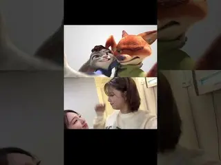 【公式】「TWICE」、Nick🦊 and Judy🐰 of #TWICE #TWICE #nickandjudy  