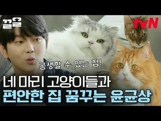 【公式tvn】 猫をとても愛したギャング執事💛ユン・ギュンサン_ が夢見た空間で再誕生したニャン執事ハウス！ビポ＆アフターは本当の大ヒットです...😲|新鮮