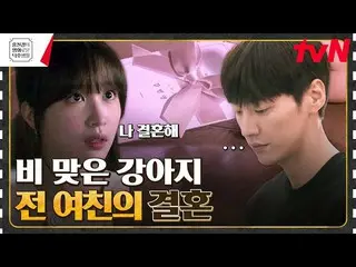 【公式tvn】 恋人アン・ヒヨンに配信されたキム・ヨングァン_ ？子犬st