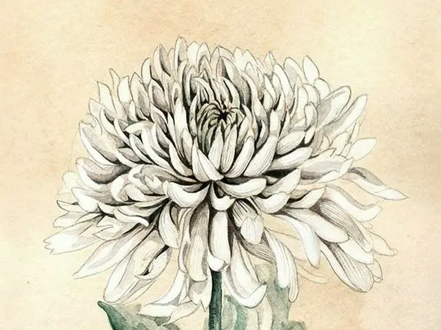 Wonder Girls 出身ソンミ、SNS更新。