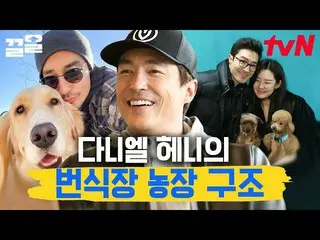 【公式tvn】 繁殖犬農場構造を出たダニエル・ヘニー_ ！しかし、犬の状態が推測される過酷な環境😥|アップグレード人間  