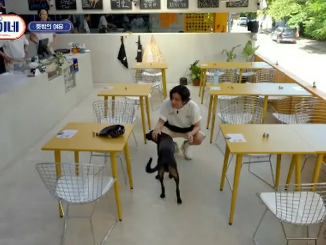 tvN「ソジンの家」側、マスコット犬ペロの治療費をV(BTS)が出したという美談は事実ではないとコメント