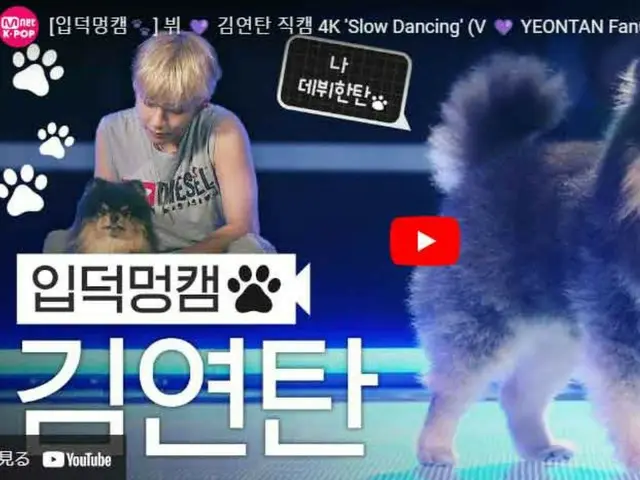 V（BTS）の飼い犬YEONTANの直カム公開で話題に