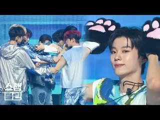 ニャン～😺 ニャン～😺 ニャンニャンですよ💘猫に変身したイ・ジョン_ ヒョン(美しき日々)_ と共にしたEVNNE_ _ ＜TROUBLE＞ステージ✨ ＂