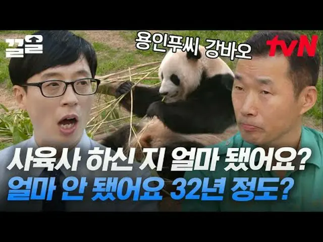 テレビでストリーミング: #tvN #ユキッズオンダーブロックtvN レジェンドバラエティ引き上げ～アップ↗↗ #テレビでストリーミング