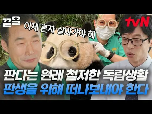 テレビでストリーミング: #tvN #ユキッズオンダーブロックtvN レジェンドバラエティ引き上げ～アップ↗↗ #テレビでストリーミング