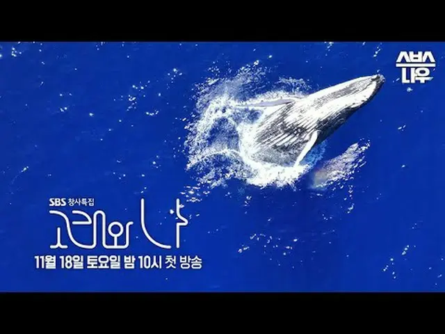 SBSスペシャル「クジラと私」 ☞11月18日[土]夜10時初放送#SBSスペシャル #クジラワナ #WhalesandI #ハン・ジミン_  #パク・ヘス(男