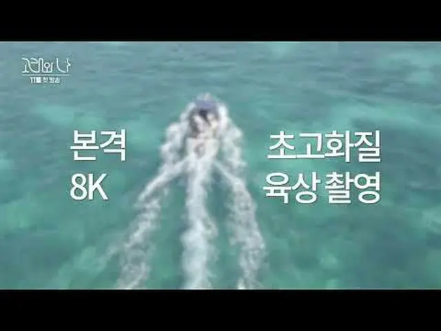 SBSスペシャル「クジラと私」 ☞11月初放送#SBSスペシャル #クジラワナ #WhalesandI #ハン・ジミン_  #パク・ヘス(男優)_  #クジラ▶