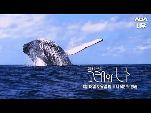SBSスペシャル「クジラと私」 ☞11月18日[土]夜11時5分初放送#SBSスペシャル #クジラワナ #WhalesandI #ハン・ジミン_  #パク・ヘス