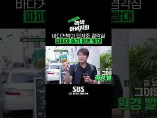 SBS「隣の夫 - 緑の父親会」 ☞[水]夜10時40分 #SBS芸能 #隣の夫 #緑の父親会#チャ・インピョ_  #チョン・サンフン #リュ・スヨン_  #ジ