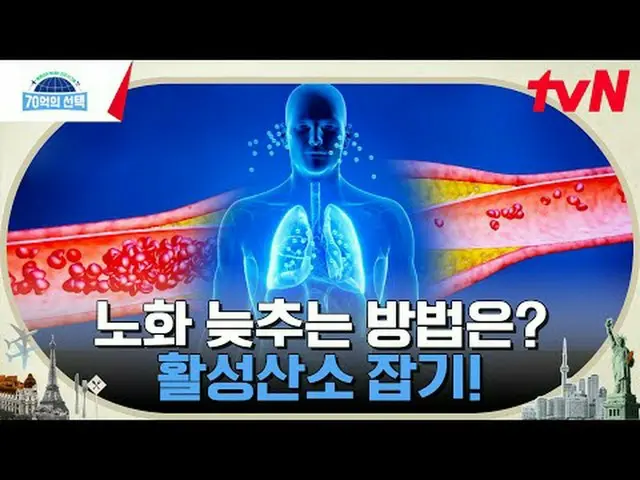 テレビでストリーミング:世界人が送る健康シグナル{70億の選択}毎週[木]午前9時tvN放送#テレビでストリーミング
