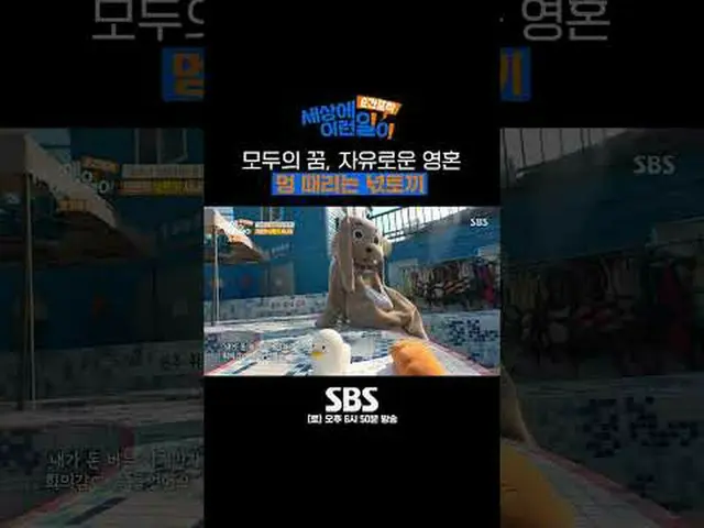SBS「瞬間捕獲世界にYIREN事が」 ☞[土]午後6時50分 #世界のYIRENの仕事 #奇妙な話▶ Subscribe NOW_ ! SBS NOW_ ！ 