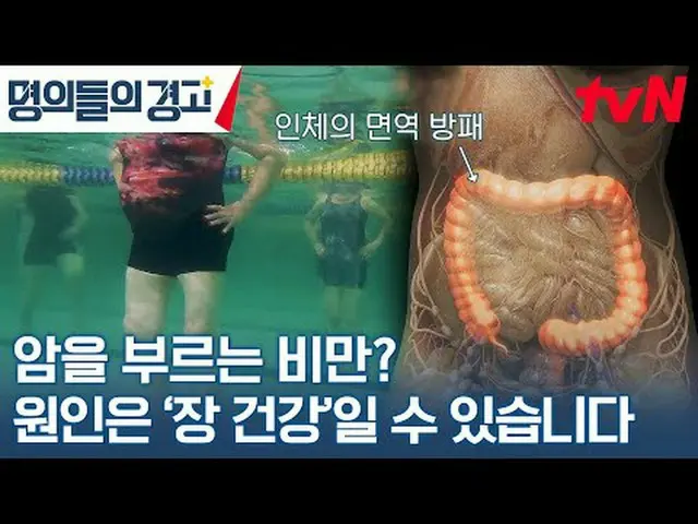 テレビでストリーミング:韓国で最高の名義あなたの人生を変えるライフコードを提示しましょう！命のコードを解読しよう！ {名義の警告} ✅ 11/8(水)午前9時t