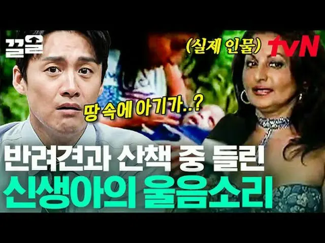 テレビでストリーミング: #tvN #フリーハン19 tvN レジェンドバラエティ引き上げ～アップ↗↗ #テレビでストリーミング