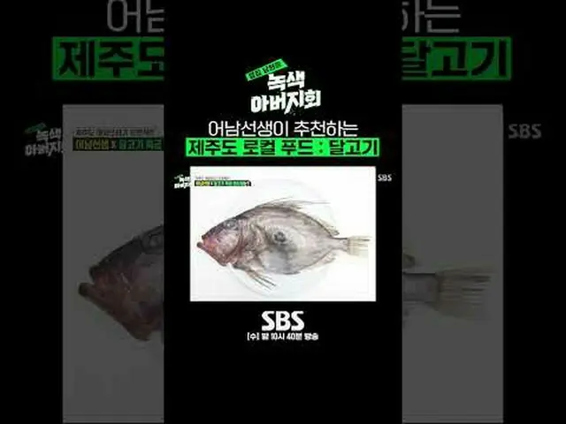 SBS「隣の夫 - 緑の父親会」 ☞[水]夜10時40分 #SBS芸能 #隣の夫 #緑の父親会#チャ・インピョ_  #チョン・サンフン #リュ・スヨン_  #ジ