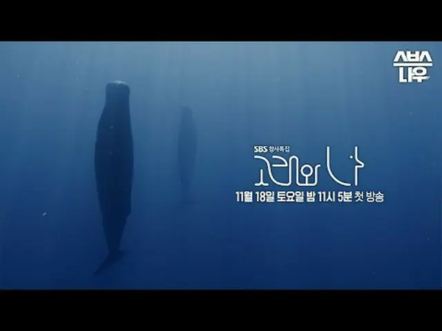 SBSスペシャル「クジラと私」 ☞11月18日[土]夜11時5分初放送#SBSスペシャル #クジラワナ #WhalesandI #ハン・ジミン_  #パク・ヘス