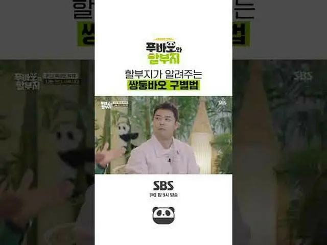 SBS「フバオと分割」 ☞[木]夜9時放送 #フバオと割引場所 #フバオ #カンバオ #カンチョルウォン #チョン・ヒョンム #チャン・ドヨン▶ Subscri