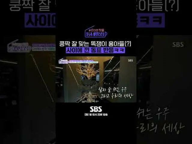 SBS「手をつけたらホットフル！近所の素晴らしい☞[火]夜10時20分 #手がければホットプル近所クール #近所クール#オ・サンジン #キム・ジウン_  #ユ・