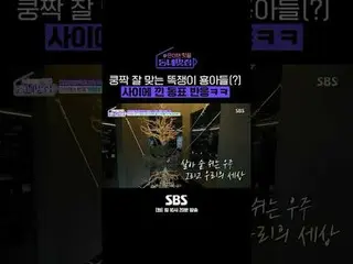 SBS「手をつけたらホットフル！近所の素晴らしい☞[火]夜10時20分 #手がければホットプル近所クール #近所クール#オ・サンジン #キム・ジウン_  #ユ・