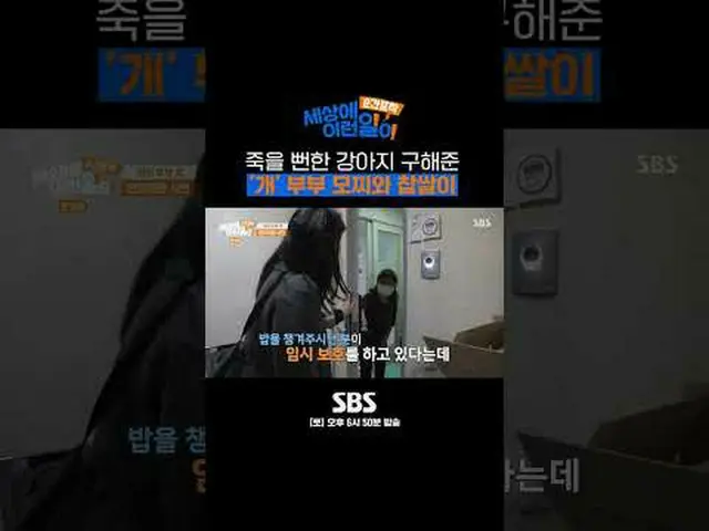 SBS「瞬間捕獲世界にYIREN事が」 ☞[土]午後6時50分 #世界のYIRENの仕事 #奇妙な話▶ Subscribe NOW_ ! SBS NOW_ ！ 