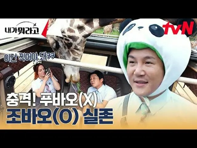 テレビでストリーミング:  #チョ・セホ #パク・ナレ #ユン・ソンビン #チョ・ヒョンア #アメリカ「私は何だ」地球の反対側で好きになってくれる…？最愛のため
