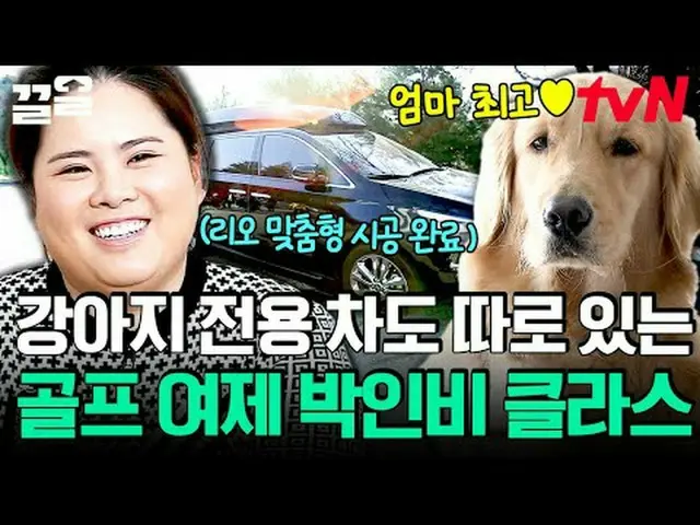 テレビでストリーミング:  #tvN #会話が必要な犬 # tvN レジェンドバラエティ引き上げ～アップ↗↗ #テレビでストリーミング