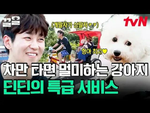 テレビでストリーミング:  #tvN #会話が必要な犬 # tvN レジェンドバラエティ引き上げ～アップ↗↗ #テレビでストリーミング