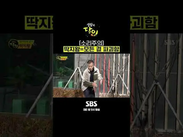 SBS「生活の達人」 ☞[月]夜9時#生活の達人 #SBS教養▶ Subscribe NOW_ ! SBS NOW_ ！ ▶ホームページ: ▶ Facebook