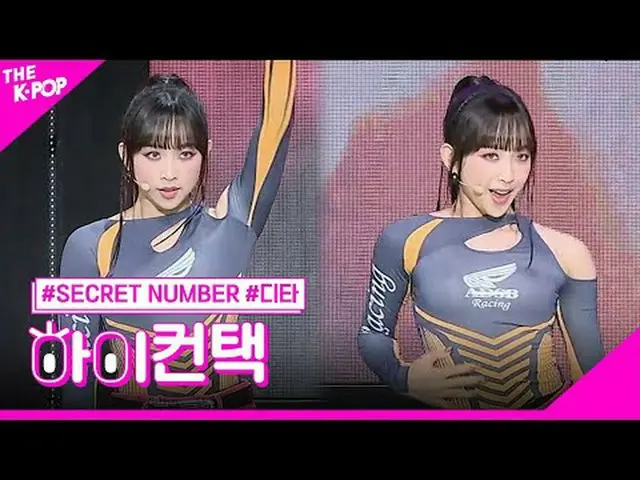 #SECRET NUMBER_ _ 、DOXA DITA Focus、HI！ CONTACT  #SECRET NUMBER_ 、蛇 #ディータフォーカス、ハイ