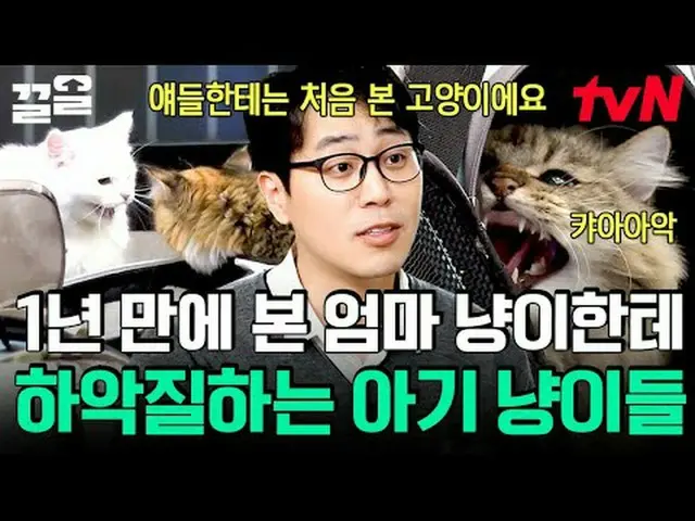 テレビでストリーミング:  #tvN #会話が必要な犬 # tvN レジェンドバラエティ引き上げ～アップ↗↗ #テレビでストリーミング