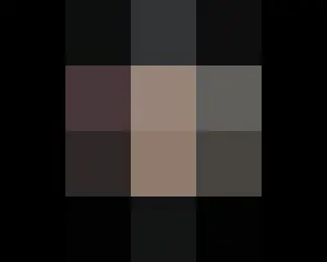 テレビでストリーミング: 15歳の観覧は正しいですか？肌色のパーティーカップルパレス完璧な結婚のための100人超高速高効率カップルマッチングショー〈カップルパレ