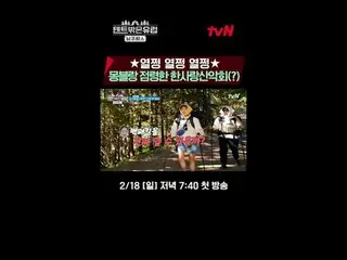 テレビでストリーミング:ラ・ミラン_ Xハン・ガイン_ Xチョ・ボア_ Xリュ・ヘヨン_ ハイパーリアル旅行【テント外はヨーロッパ南フランス編】 2/18[日]