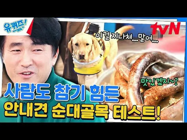 テレビでストリーミング: #ユクイズ #ユ・ジェソク_  #チョ・セホユキスオンダーブロック YOU QUIZ ON THE BLOCK EP.231  #人生