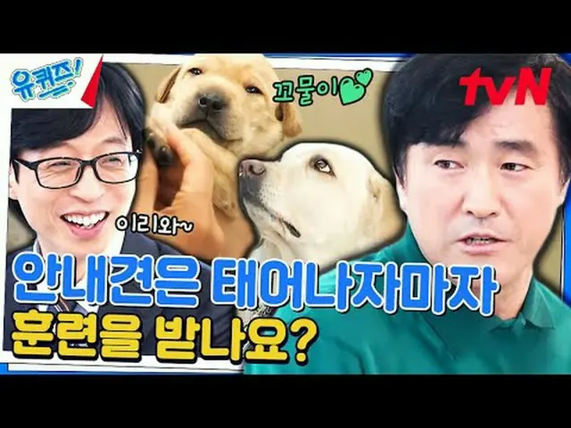 テレビでストリーミング: #ユクイズ #ユ・ジェソク_  #チョ・セホユキスオンダーブロック YOU QUIZ ON THE BLOCK EP.231  #人生