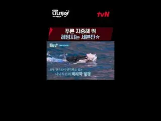 テレビでストリーミング: FULL VOD🎬 GL 👉 JP 👉 🗓Schedule毎週(金)夜8:40 tvN放送夜10:00フルバージョンWever
