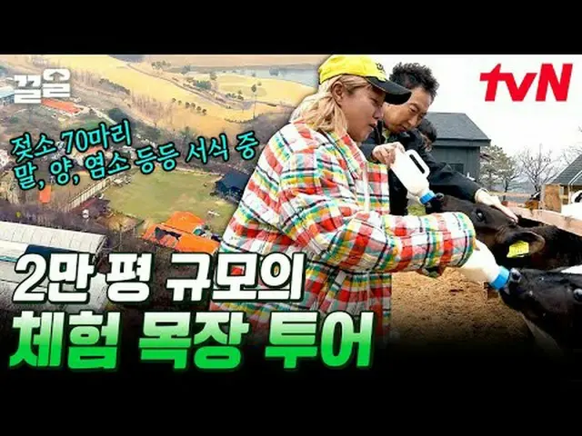 テレビでストリーミング:  #tvN #食べる音3 # tvN レジェンドバラエティ引き上げ～アップ↗↗ #テレビでストリーミング