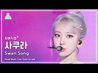 [#チェ・エ・ジ・カム] LE SSERAFIM_ _ SAKURA(LE SSERAFIM_ さくら) - Swan Song |ショー！音楽センター| MB