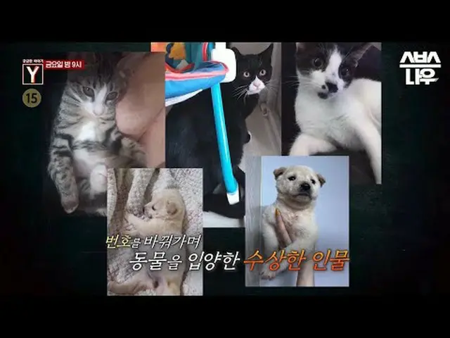 SBS「気になる話Y」 ☞[金]夜9時 #気になる話Y #教育 #予告 #動物養子▶ Subscribe NOW_ ! SBS NOW_ ！ ▶ホームページ: 