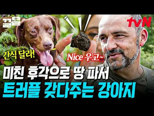 テレビでストリーミング: #tvN #地元のブリーフィング今私の国はtvN レジェンドバラエティ引き上げ～アップ↗↗ #テレビでストリーミング