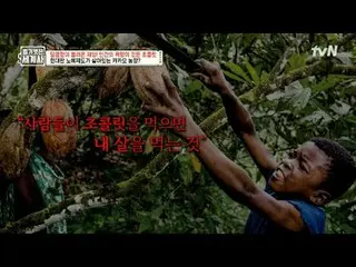テレビでストリーミング: 142回|甘さが呼んだ災害！人間の欲望が宿るチョコレート〈裸の世界史〉 [火]夜10:10 tvN放送 #裸の世界史 #ウンジウォン(